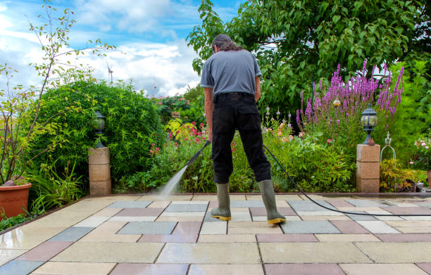 Best Sidewalk and Walkway Cleaning  in Shamrock, TX